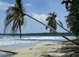 Limon Costa Rica Tourism Vacations