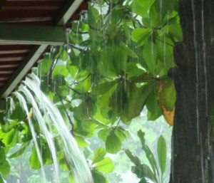 Costa Rican Rainy Season Survival Guide