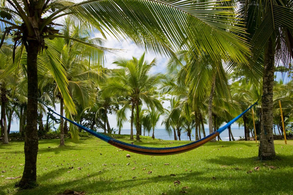 Osa Hammock Osa Hammock