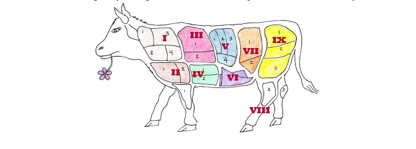 cuts of beef in costa rica