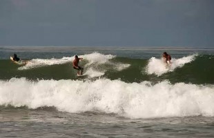 Dominical Surfers