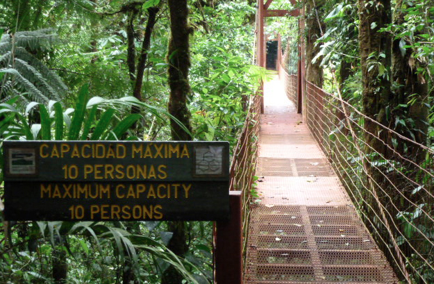Bosque Nuboso Biological Reserve Costa Rica