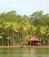 Costa Rica Osa Peninsula Documentary