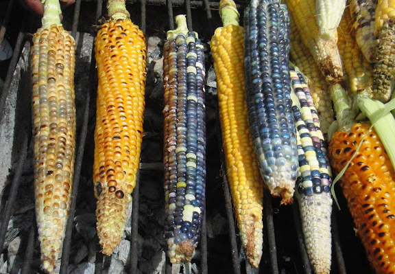 corn from guatemala
