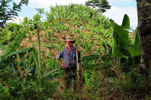 costa rica colombia free trade agreement costa rica colombia free trade agreement