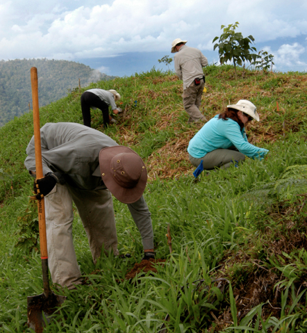 lower taxes on farmland in costa rica
