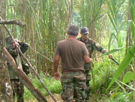 Source: COECOCEIBA Creative Commons license.