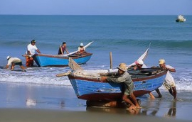 Fishing in Nicoya Costa Rica