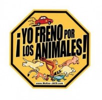 I Brake For Animals Costa Rica