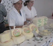 Santa Cruz Feria Del Queso