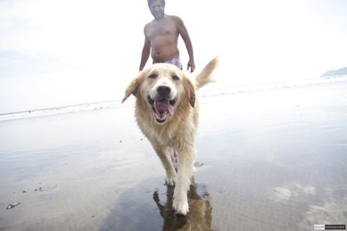 Apart from surfing, Linda apparently loves the camera.