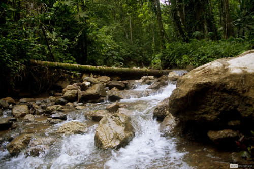 Mountain stream
