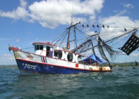 Costa Rica Shrimp Fishing