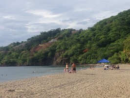 MeliaParadisus01