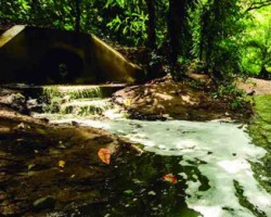 Rio Grande in Nicoya Costa Rica