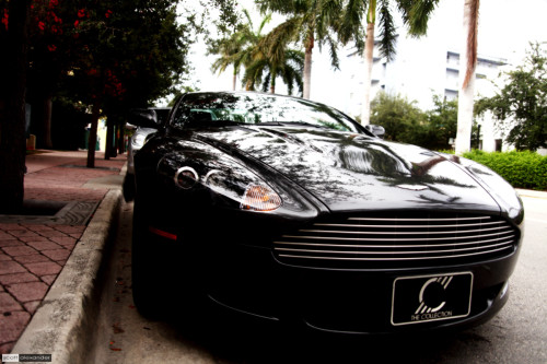 Smooth lines under the shade of trees in South Beach.