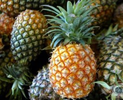European Union Trade Costa Rica Pineapples