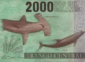Hammerhead