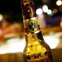 Spanish for drunks in Costa Rica