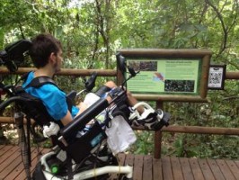 Accessible trails at Carara National Park, courtesy of Wikimedia Commons