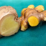 Medicinal herbs ginger and turmeric