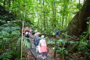 Veragua Rainforest Park