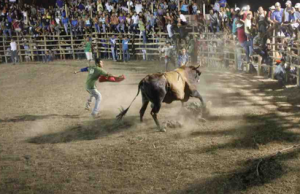 Caimital and Samara Fiestas