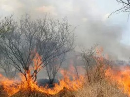 Guanacaste Wildfire