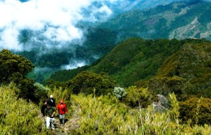 Trekking by San Gerardo de Dota