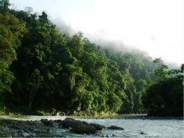 Pacuare River Canyon, Costa Rica