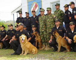 Police dogs in Costa Rica