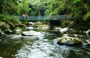 Savegre River