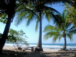 Beachfront at Hotel Tropico Latino, Santa Teresa