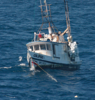 Costa Rican Fishermen Rescued at Sea
