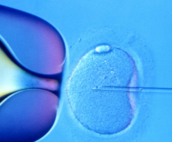 In-Vitro Fertilization Costa Rica