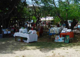 Samara Organic Market