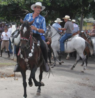 Tope Horse Parade Playas del Coco Guanacaste