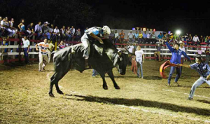 Nicoya Bull Riding and Rodeos