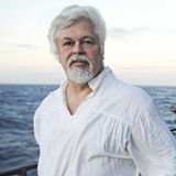 Source: Paul Watson Facebook Timeline