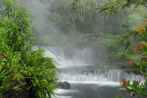 Tabacon hot springs