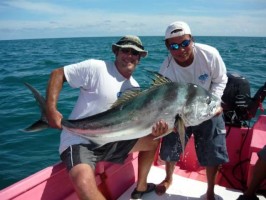 Quepos roosterfish, image by Quepos Fishing
