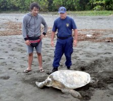 Source: MSP Costa Rica