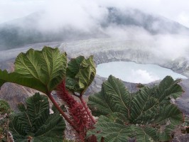 Poas Volcano