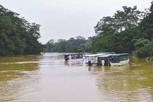 The Sarapiqui River