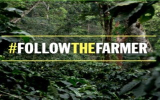 Rainforest Alliance