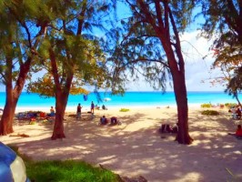 A pristine beach in Barbados. Wikimedia Commons