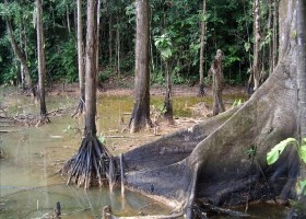 U.S. oil company Occidental Petroleum, or Oxy, has agreed to compensate five Peruvian Amazon Indian communities for damage resulting from oil production activity. EFE/File
