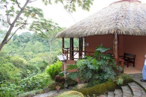 Beautiful mountain forest views at AmaTierra