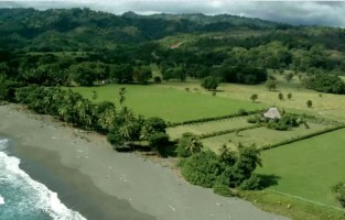 Selva Nueva Costa Rica