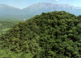 Reserva Tariquia. Wikimedia Commons